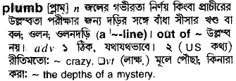 Plumb meaning in bengali