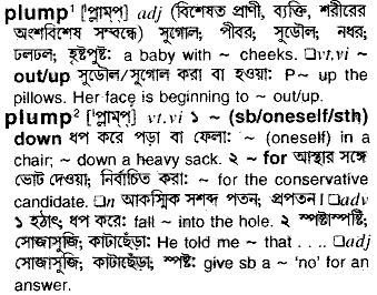 Plump meaning in bengali