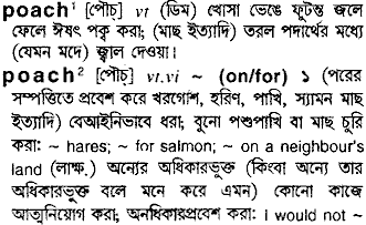 Poach meaning in bengali