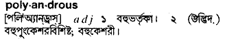 Polyandrous meaning in bengali