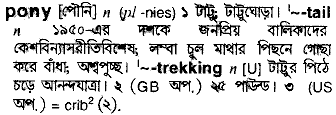 Pony meaning in bengali