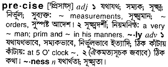 Precise meaning in bengali