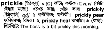 Prickle meaning in bengali