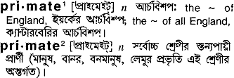 Primate meaning in bengali