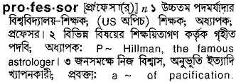 Professor meaning in bengali