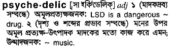 Psychedelic meaning in bengali