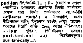 puritan 
 meaning in bengali