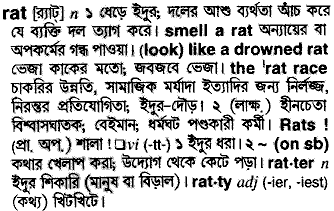 Rat meaning in bengali