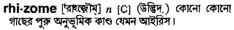 rhizome 
 meaning in bengali