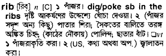 Rib meaning in bengali