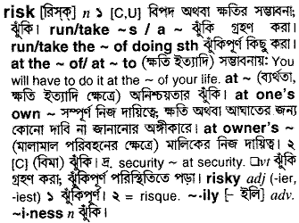 Risk meaning in bengali