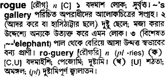 Rogue meaning in bengali