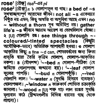 Rose meaning in bengali