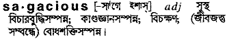 Sagacious meaning in bengali