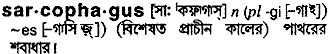 Sarcophagus meaning in bengali