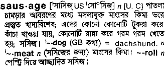 Sausage meaning in bengali