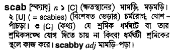 Scab meaning in bengali