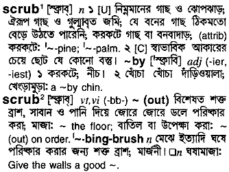 Scrub meaning in bengali