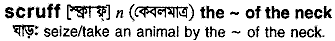 scruff 
 meaning in bengali