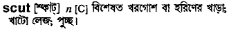 Scut meaning in bengali