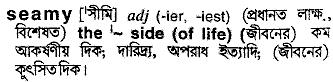 Seamy meaning in bengali