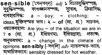 Sensible meaning in bengali