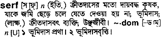 Serf meaning in bengali