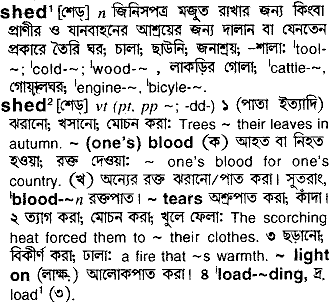 Shed meaning in bengali