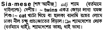 siamese 
 meaning in bengali