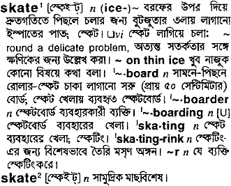 Skate meaning in bengali