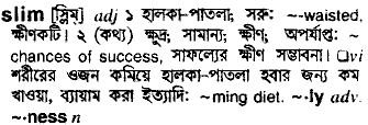 Slim meaning in bengali