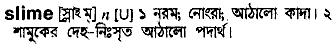 Slime meaning in bengali