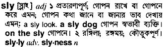 Sly meaning in bengali