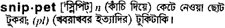 Snippet meaning in bengali