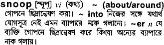 Snoop meaning in bengali