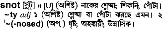 snot 
 meaning in bengali