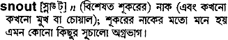 Snout meaning in bengali