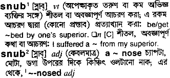 Snub meaning in bengali