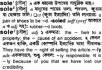 Sole meaning in bengali