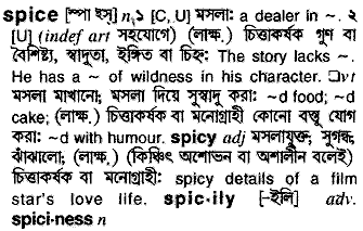 Spice meaning in bengali