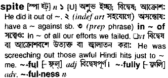 Spite meaning in bengali