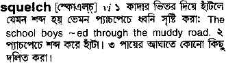 Squelch meaning in bengali