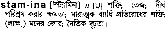 Stamina meaning in bengali