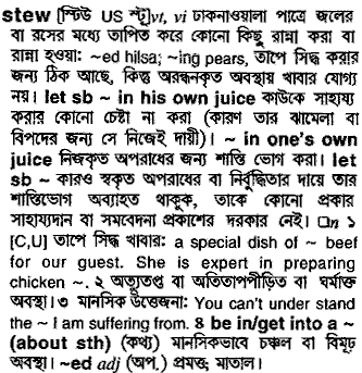 Stew meaning in bengali