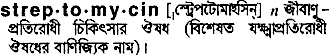 streptomycin 
 meaning in bengali