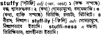 Stuffy meaning in bengali