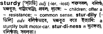 Sturdy meaning in bengali