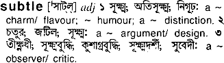 Subtle meaning in bengali