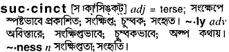 Succinct meaning in bengali