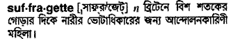 suffragette 
 meaning in bengali